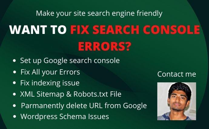 I will fix All Google indexing errors in google searc...