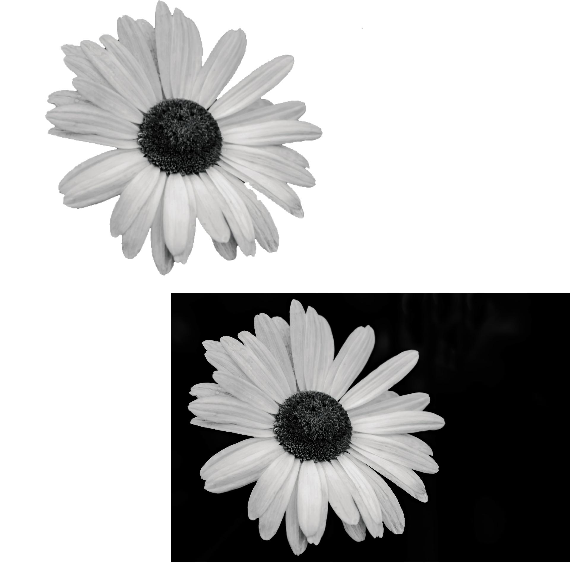 Background eraser, any picture.