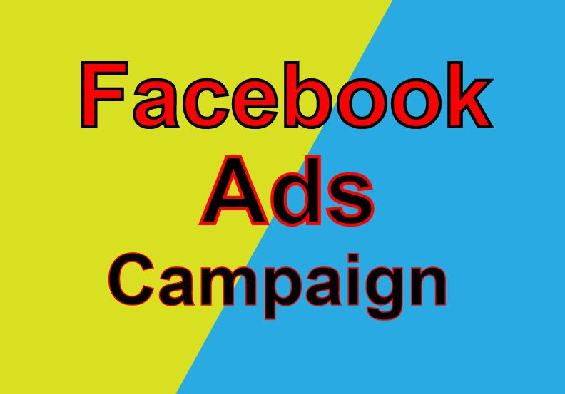 I will be your Facebook ads manager and setup attract...