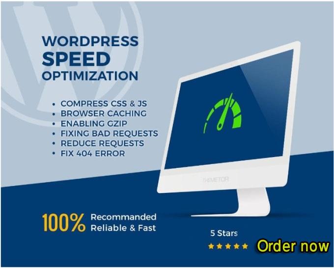 i will do wordpress speed optimization services