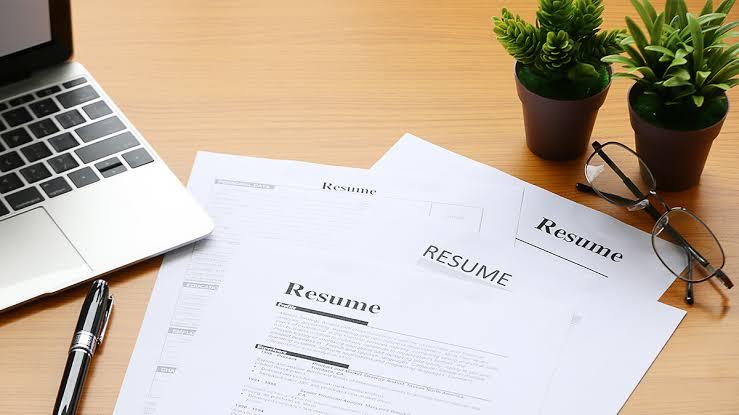 I'll help develop perfect, up to date resum&egrave, ...