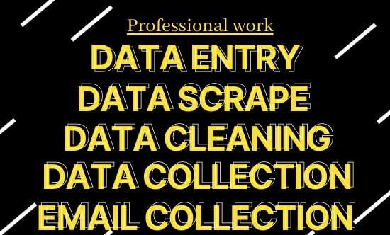 I will do all data entry jobs, data scraping and ema...