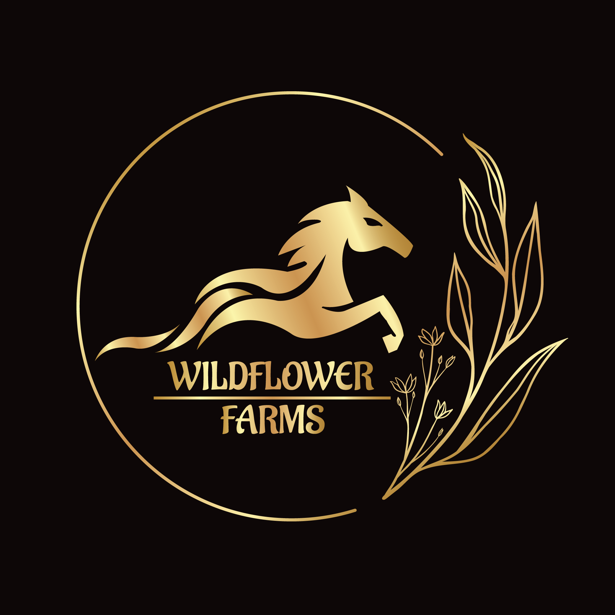 I will create a modern minimalist logo design for you