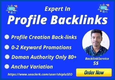 I will Create 80 Do-Follow SEO Profile Backlinks Serv...