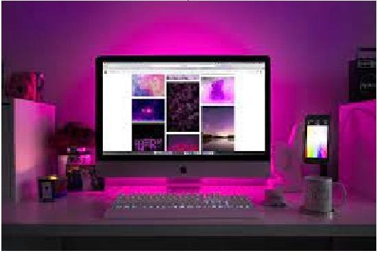 I will write 2000 words Content & article