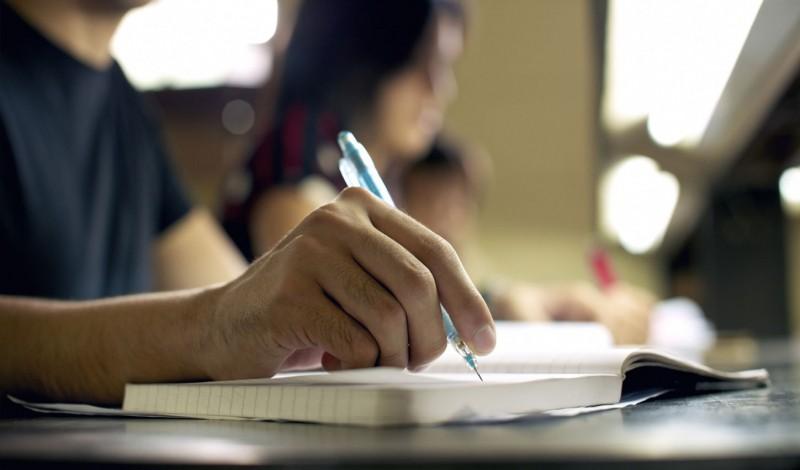 I will write 1000 words or articles about anything