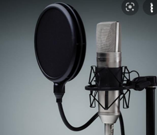 Are you looking for the best voiceovers then I will o...