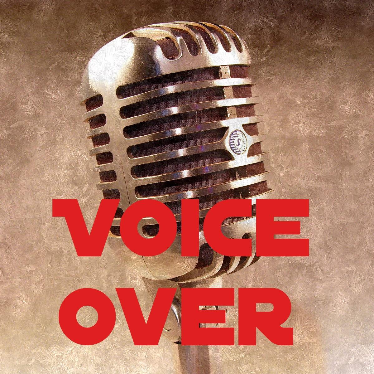 Voice over 200 words in a deep professional voice Eng...