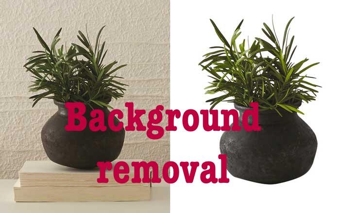 Background removal of preferred image you desired at ...