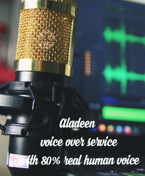 I will create a professional voice over for your vide...