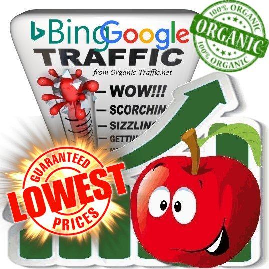 Organic Traffic from Google & Bing White Hat SEO