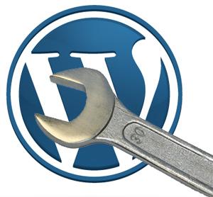 I will Solve any WordPress Problem