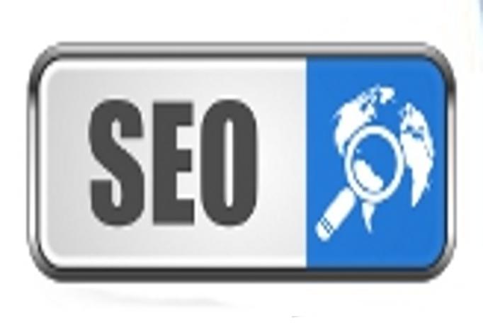 I will give you an Expert SEO Report of Any Website w...