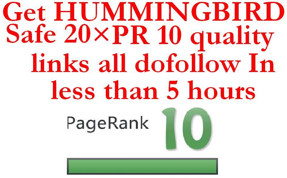 Get HUMMINGBIRD Safe 35&times PR 10 quality links all...