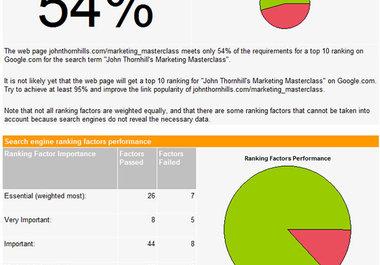 Audit your website and give you a professional detail...