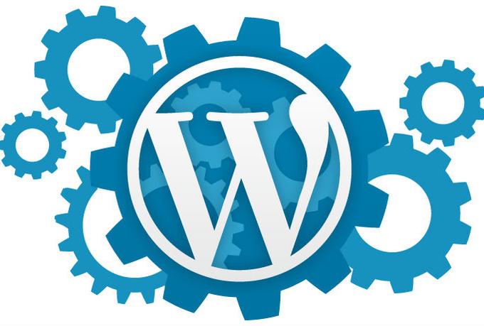 solve wordpress issues of CSS Plugins