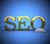 Do In-depth SEO keyword research for your business or...
