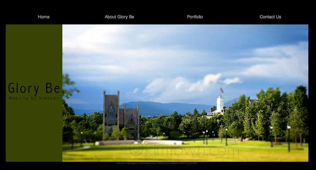 Professional website making