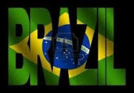 I will do 150 backlinks on Brazilian com br blog doma...