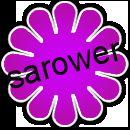 Custom Add Funds To Your Sarower Panel Balance