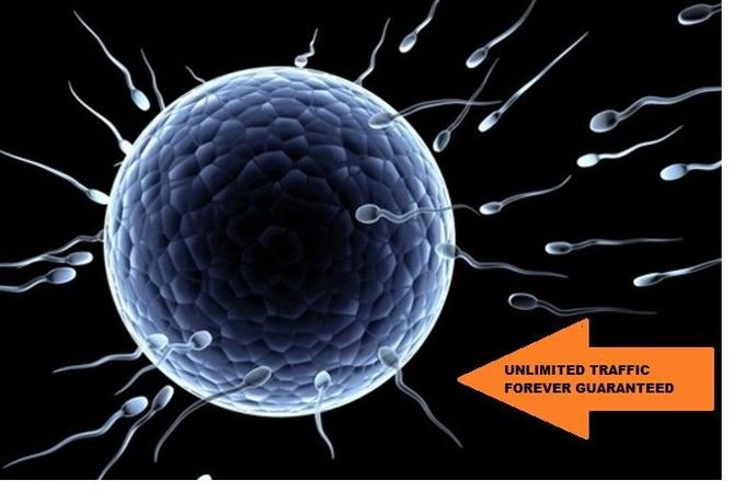 drive 1 000 000 1M Worldwide Original targeted TRAFFI...