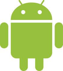 Website into an android app