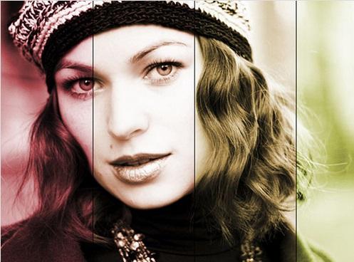 Install Incredible Premium SEO Pack plugin to wordpre...