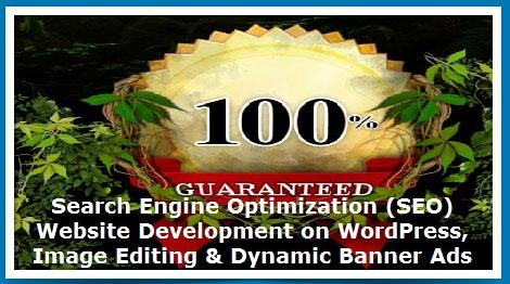 Remember a website On Page SEO Scour &gt 80 is great