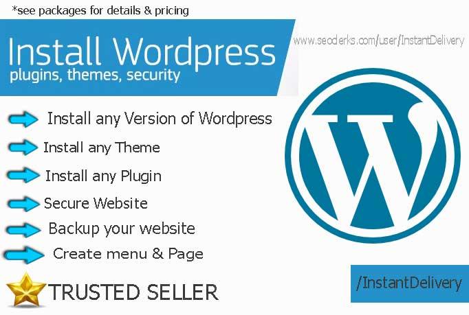 I Will Install Wordpress Theme, Plugins, And Add Sec...