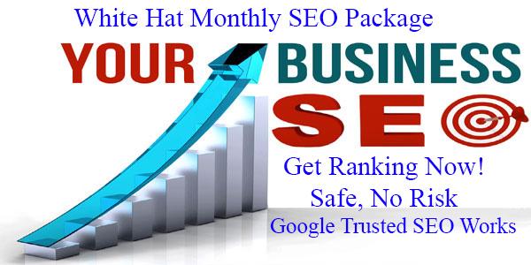 Get 100 White Hat 1 Month SEO Package - Google Safe S...