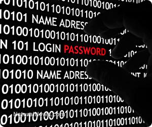 I Well Secure Your WebSite Professionally