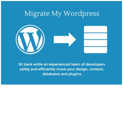 Rank spider migrate your word press Website