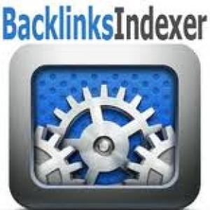 Build a safe PENGUIN link pyramid of 50+ web2.0 and 1...