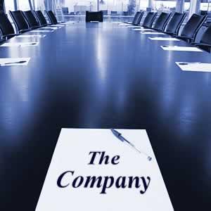 design PROFESSIONAL Company Logo in 24 hours