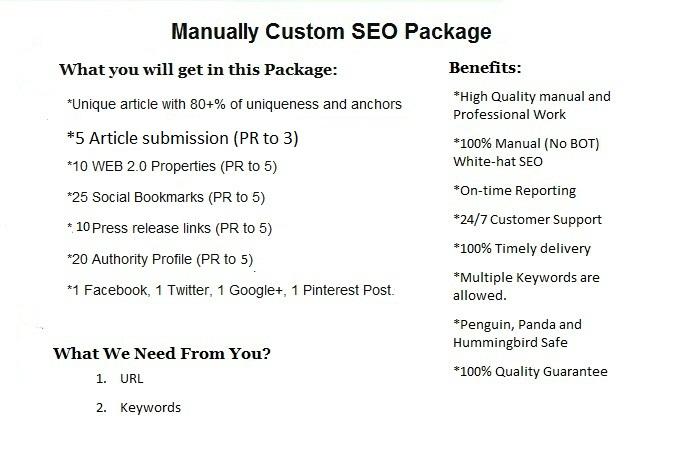 I Will Offer Manually Custom SEO Package