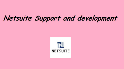 I do Netsuite scripts and customizations very fast Se...