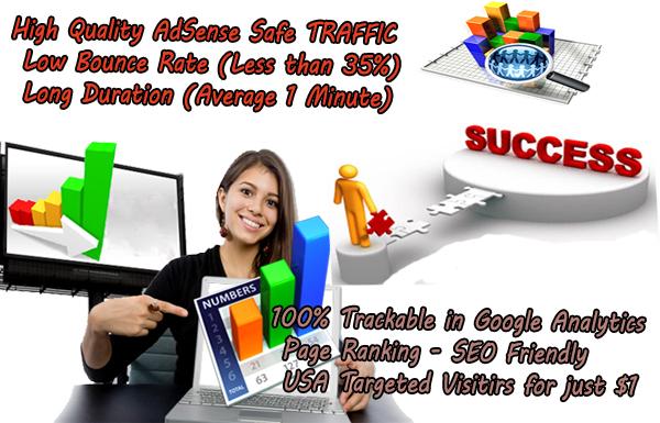 High Quality TRAFFIC with Low Bounce Rate and Long Du...