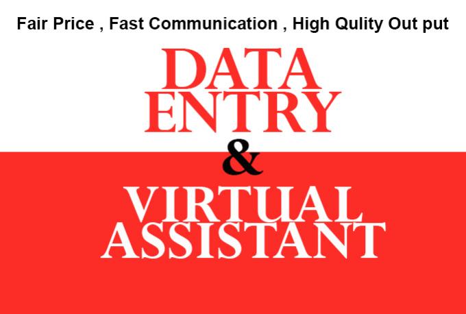 I will do Data Entry and be your Virtual Assistant up...
