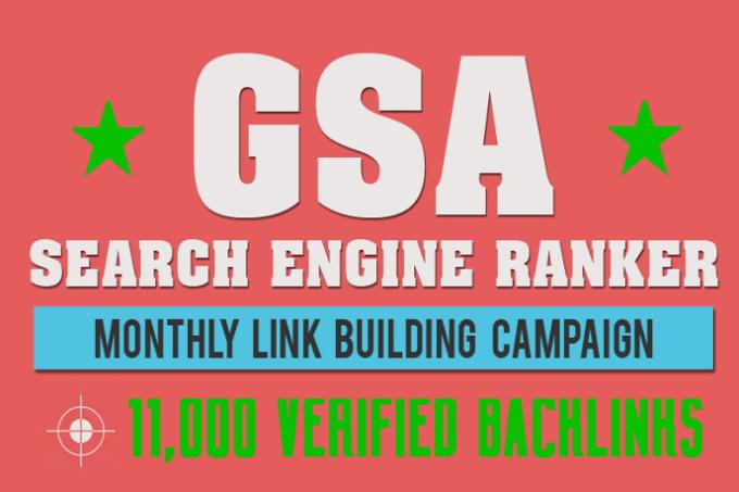 I will Make 11,000 POWERFUL Backlinks using SEnuke XC...