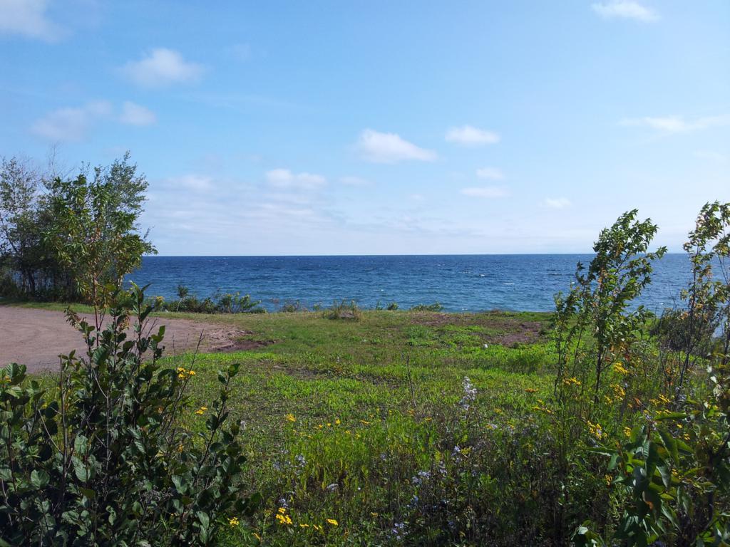 Music Loops royalty free