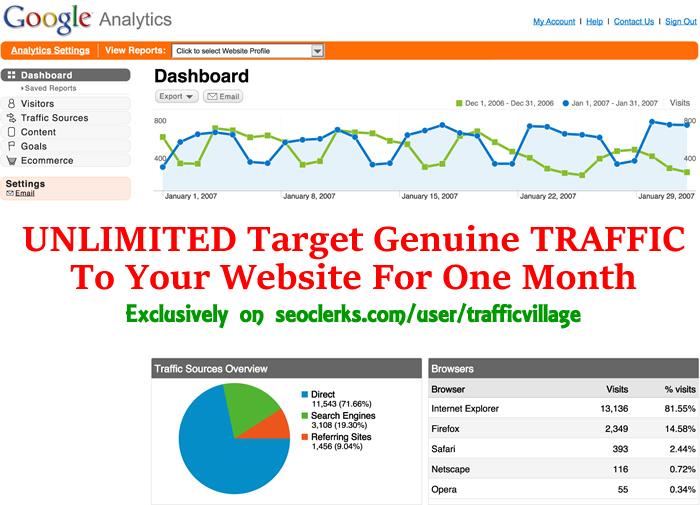 55000 Unique Targeted Traffic to your Website