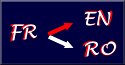 Professional Translation French to English OR Romania...