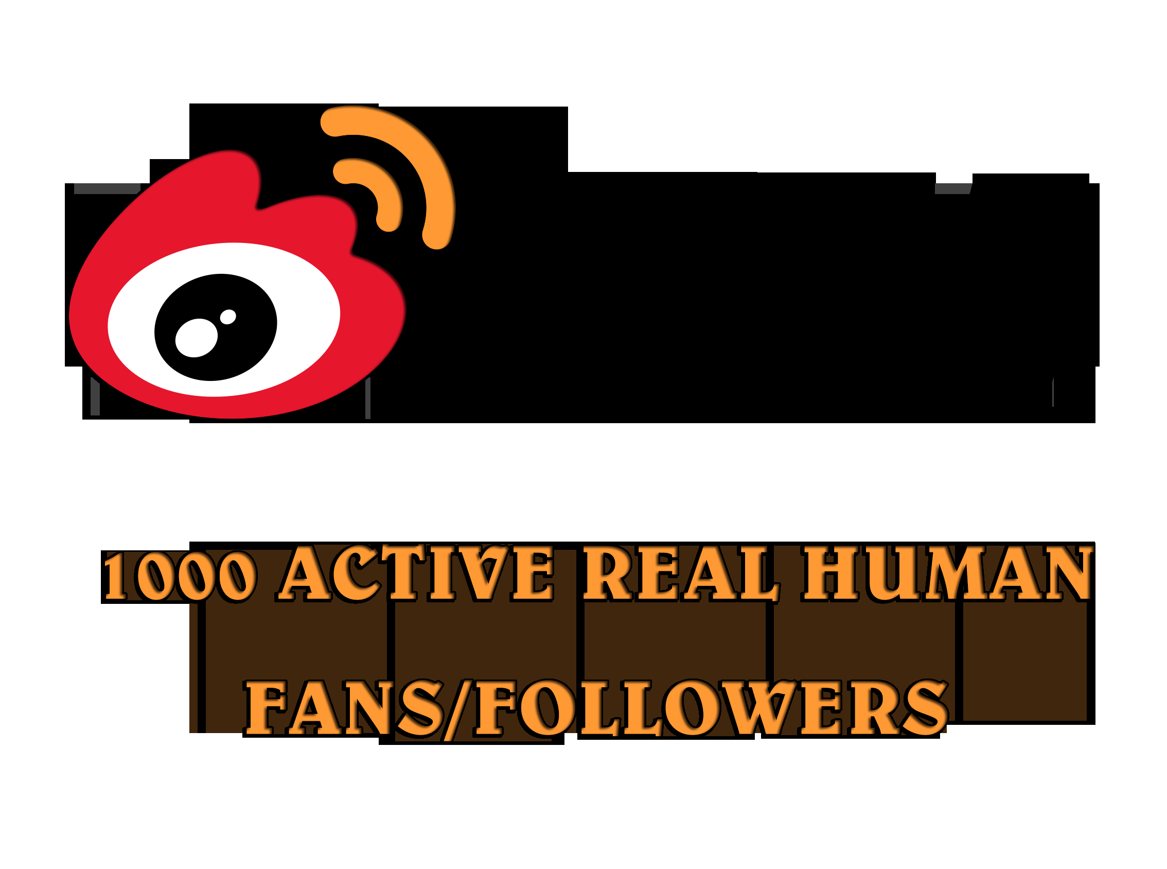 1300+ REAL HUMAN ACTIVE Sina Weibo fans followers