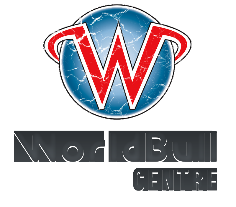 I will design 3 Professional Logo