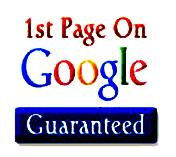 GUARANTEED GOOGLE 1st PAGE RANKING ONLY WITH BLASTER ...