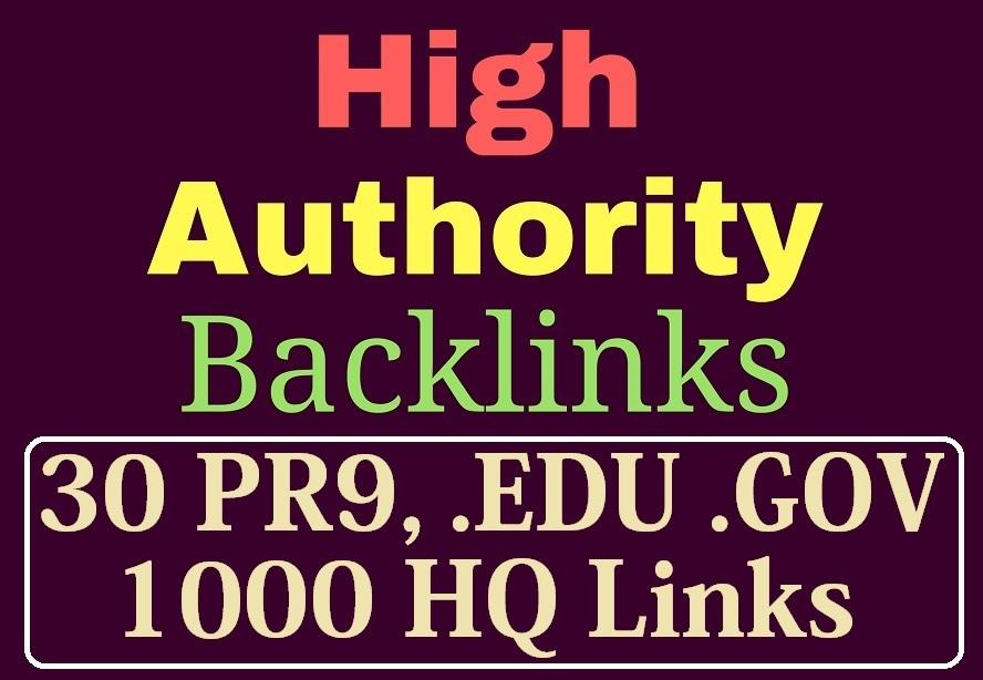 manually do 30 PR9, EDU/GOV and 1000 Safe SEO Backli...