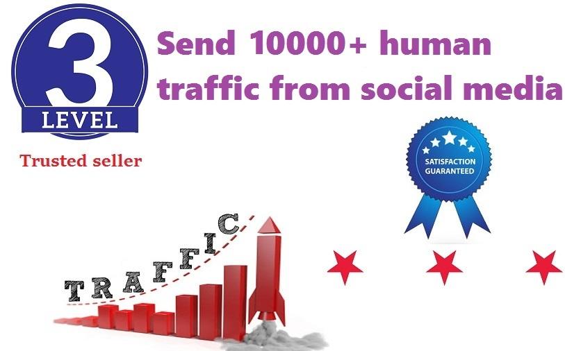 send 10000+ human traffic from google, yahoo, etc