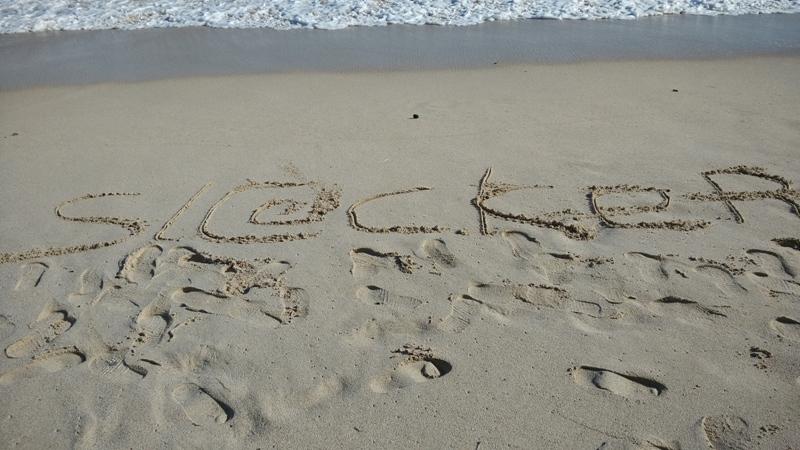 Web Designer Profesional