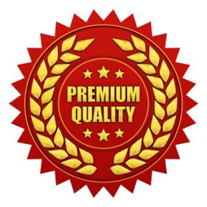 1X Homepage Dofollow Backlink and Get Top in Google a...