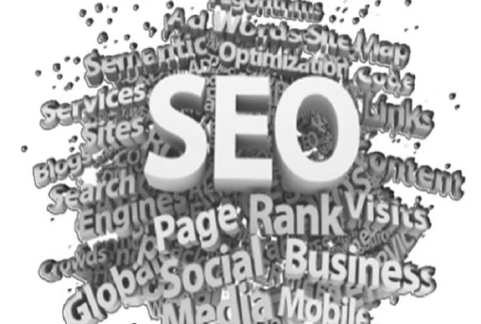 I will provide a step by step SEO blueprint plus extr...